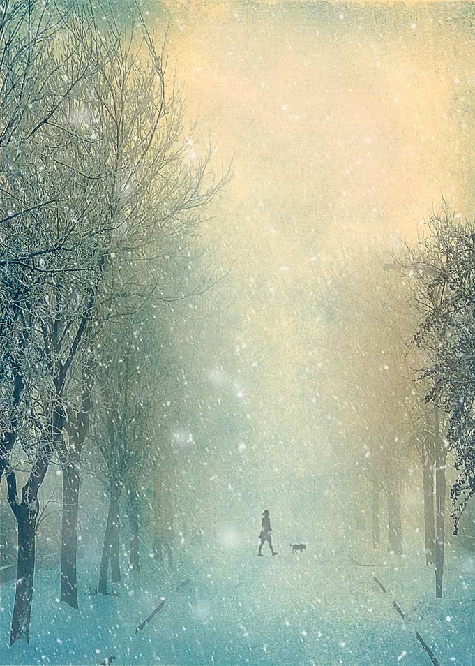 Evening Stroll