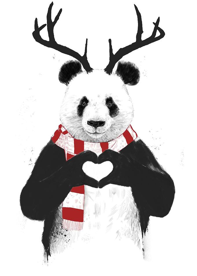 Xmas panda