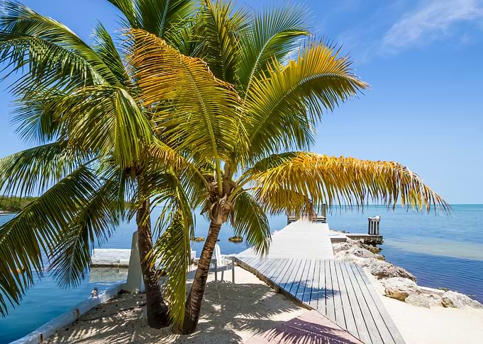 FLORIDA Relaxing View