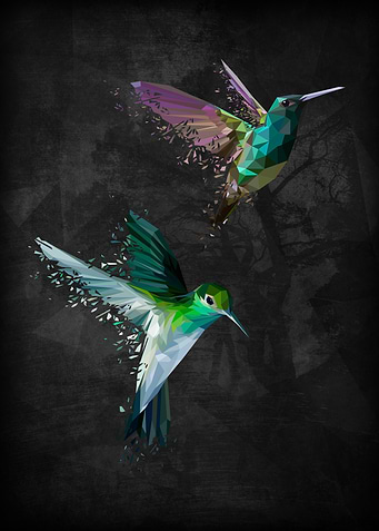 Polymetric hummingbirds shattered with a dark backgroun ...
