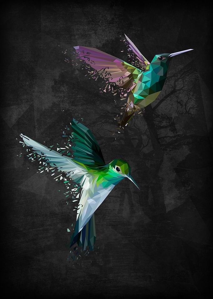 Polymetric hummingbirds shattered with a dark backgroun ...