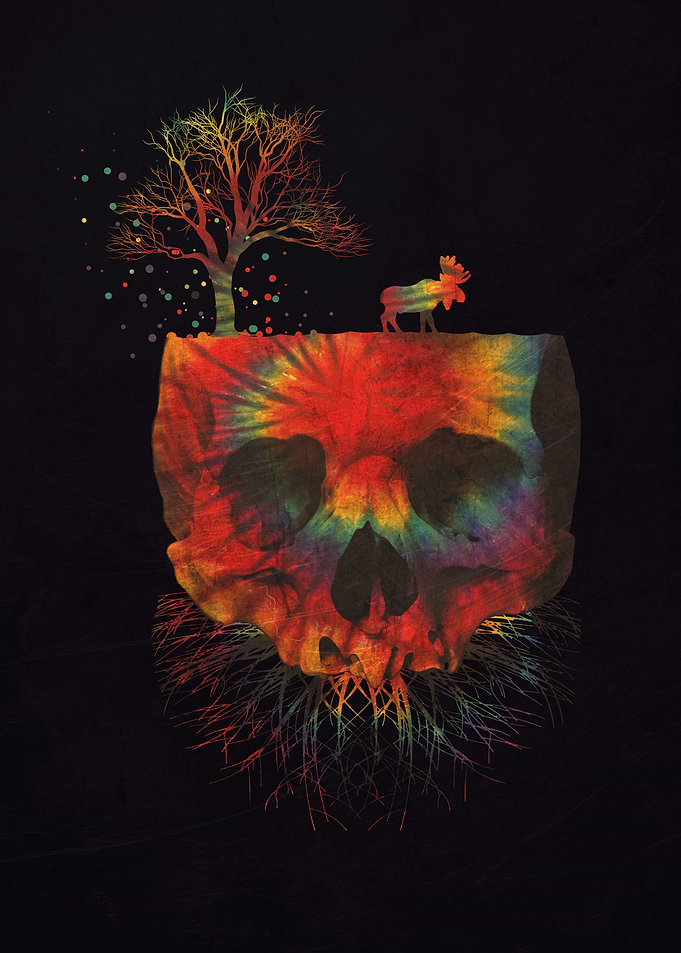 skull on my imagination