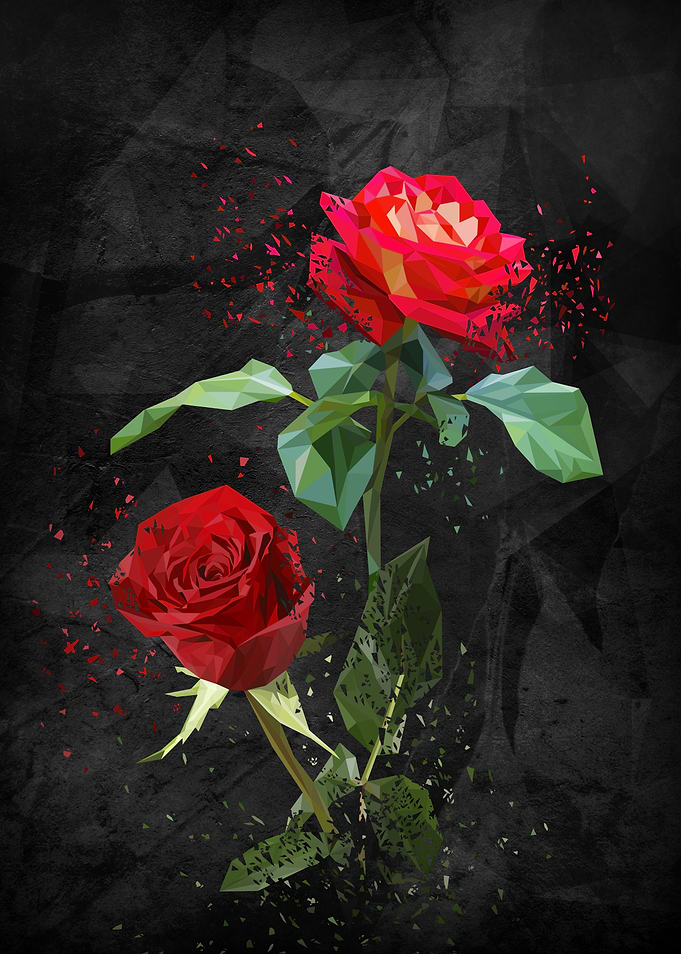 Polymetric roses shattered with a dark background to br ...