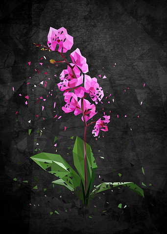 Polymetric orchids shattered with a dark background to ...