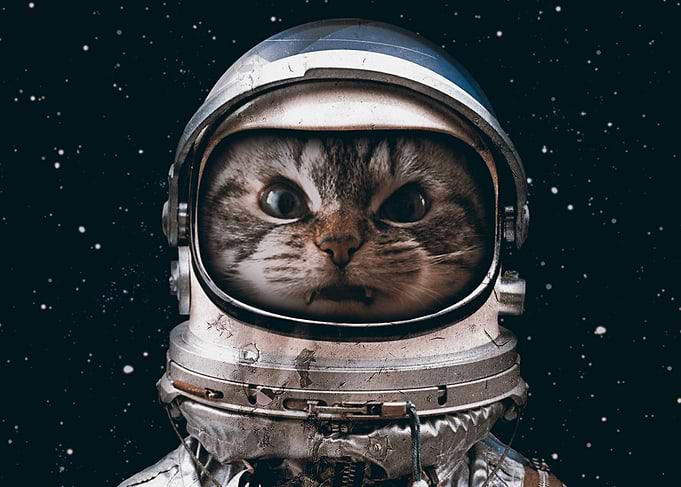 Space Catet