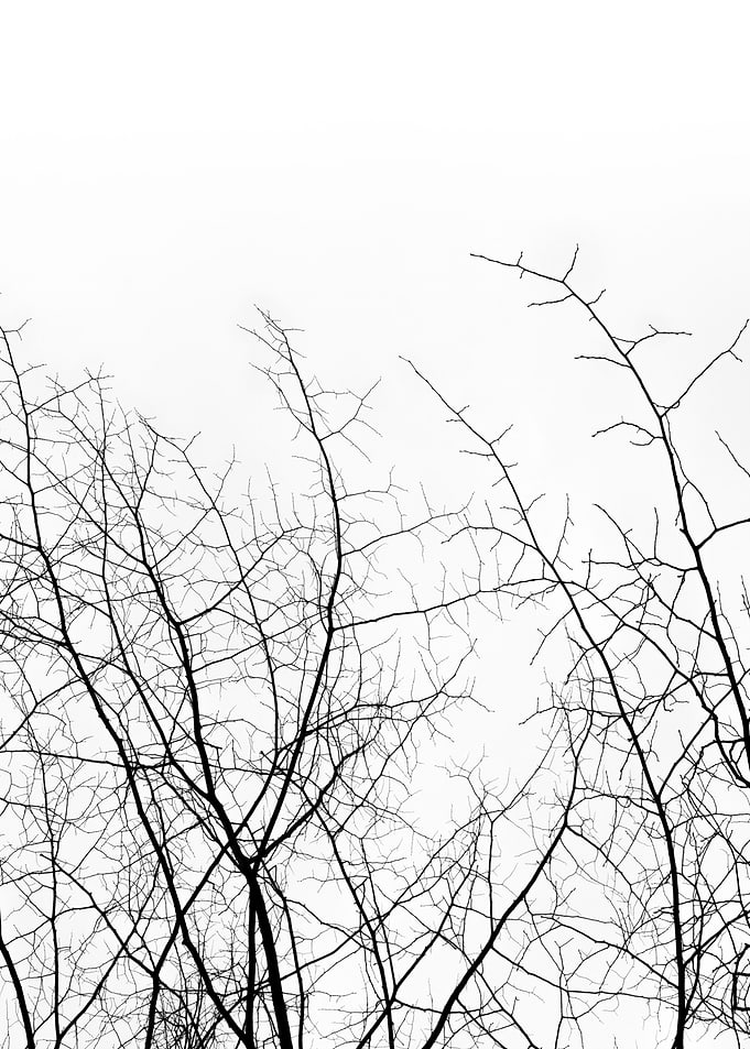 IN MY VEINS
