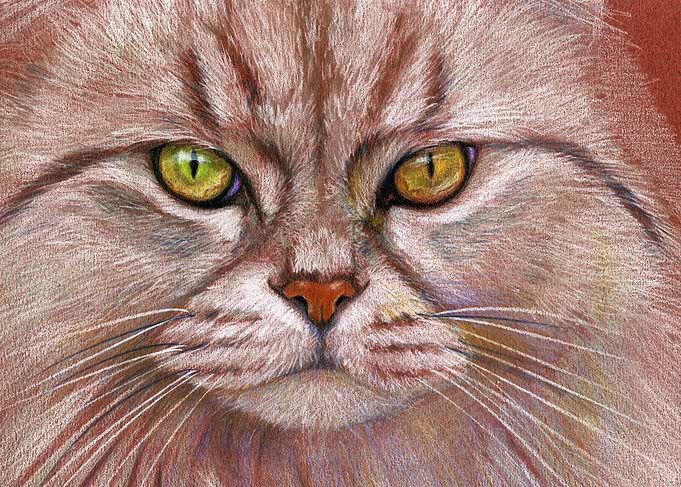 White Cat portrait G15-01 by Svetlana Ledneva-Schukina
