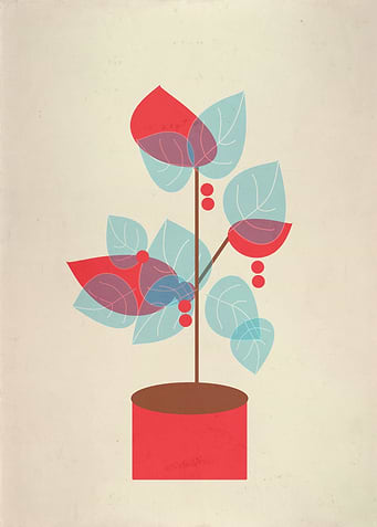 Little Tree in Red Pot