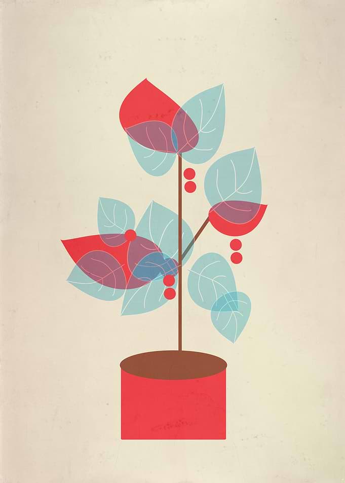 Little Tree in Red Pot