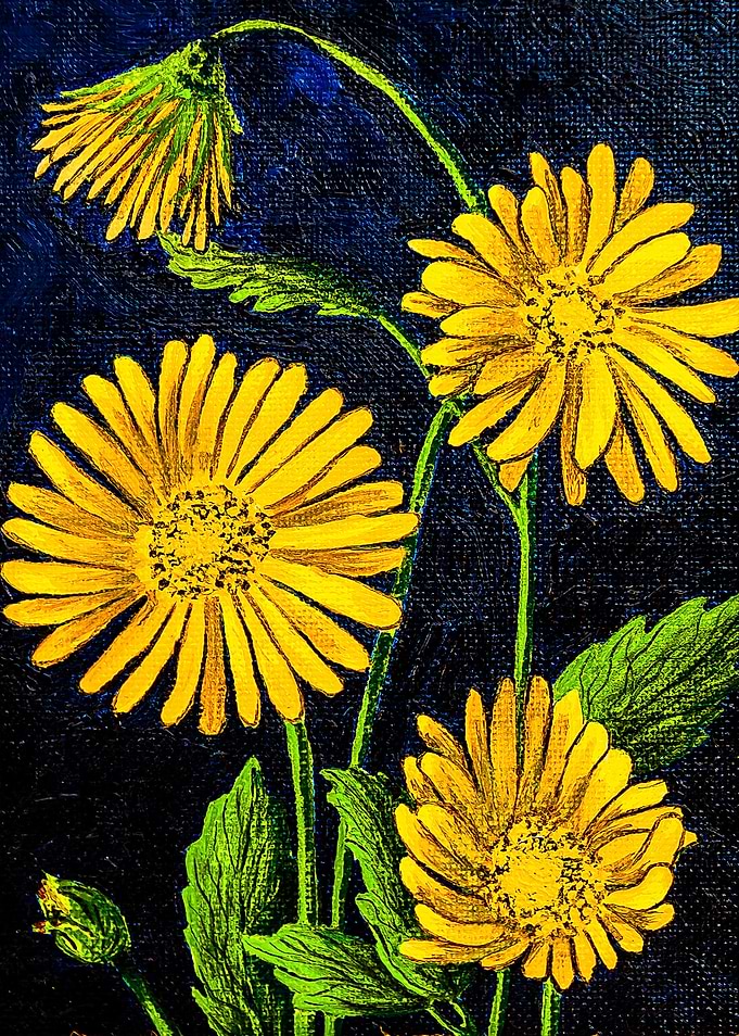Yellow Flowers