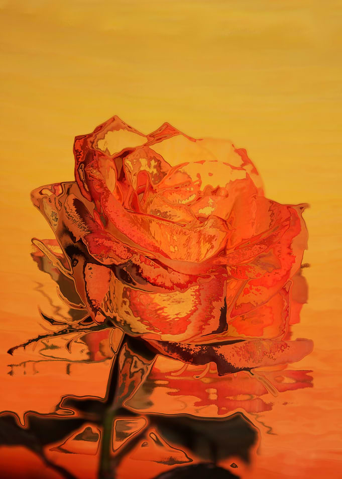 art Rose
