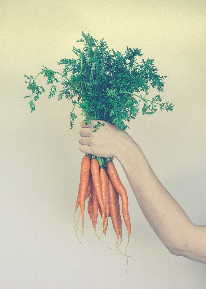a modern rustic still life photograph of a woman holdin ...