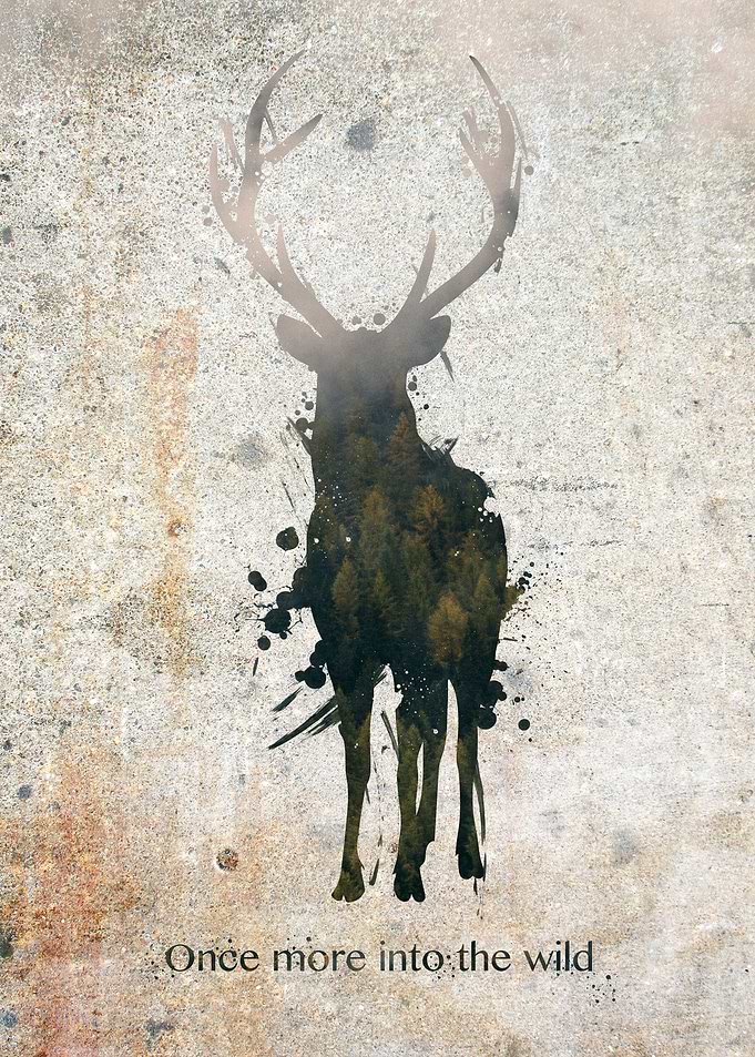 Into the Wild