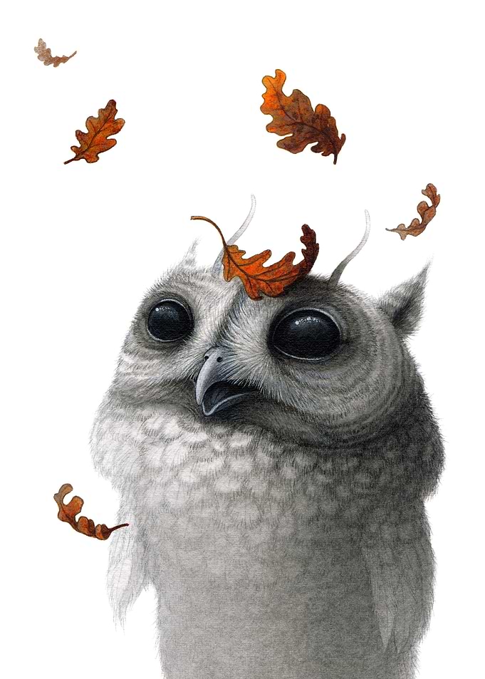 First Fall