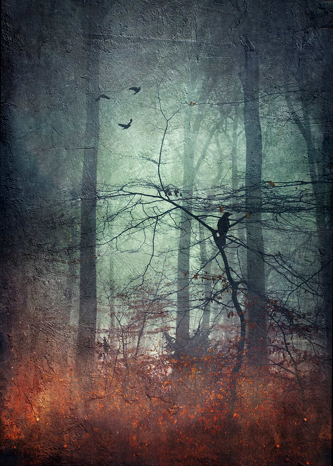 endurance - surreal forest scenery with a crow sitting ...