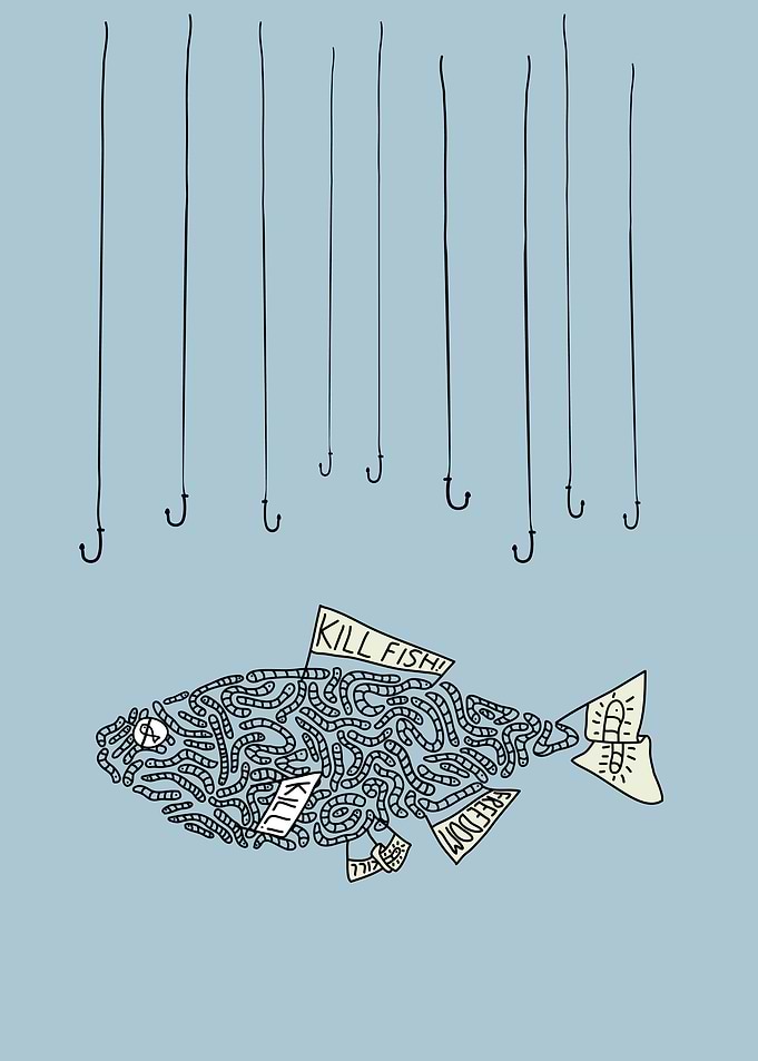 kill fish