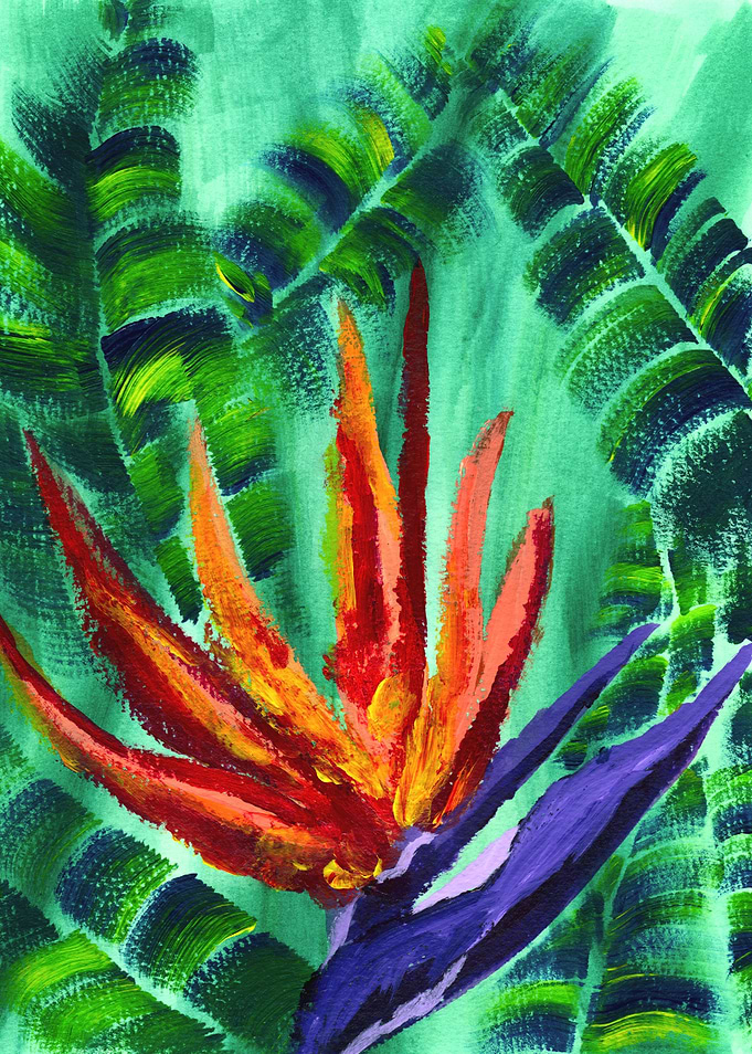 Bird of Paradise Crane Flower Acrylic Painting - An acr ...