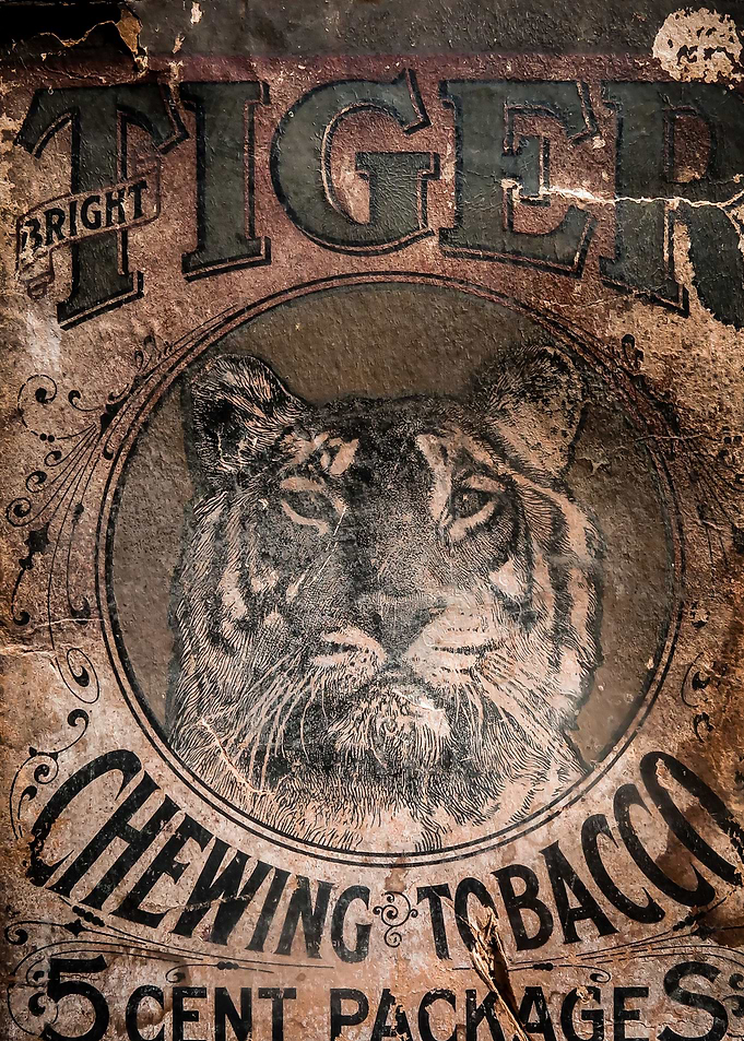 Bright Tiger