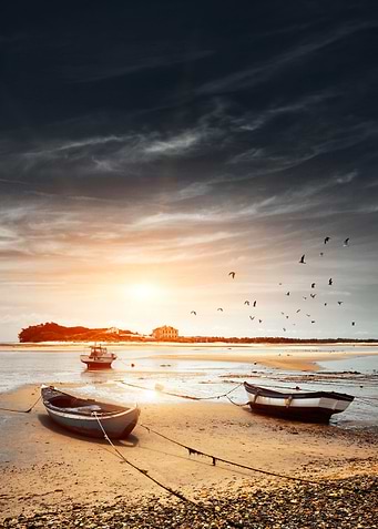 Three fishing boats resting in a very low tide at sunse ...