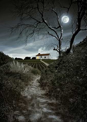Moody night scene with tree and full moon over a foot t ...