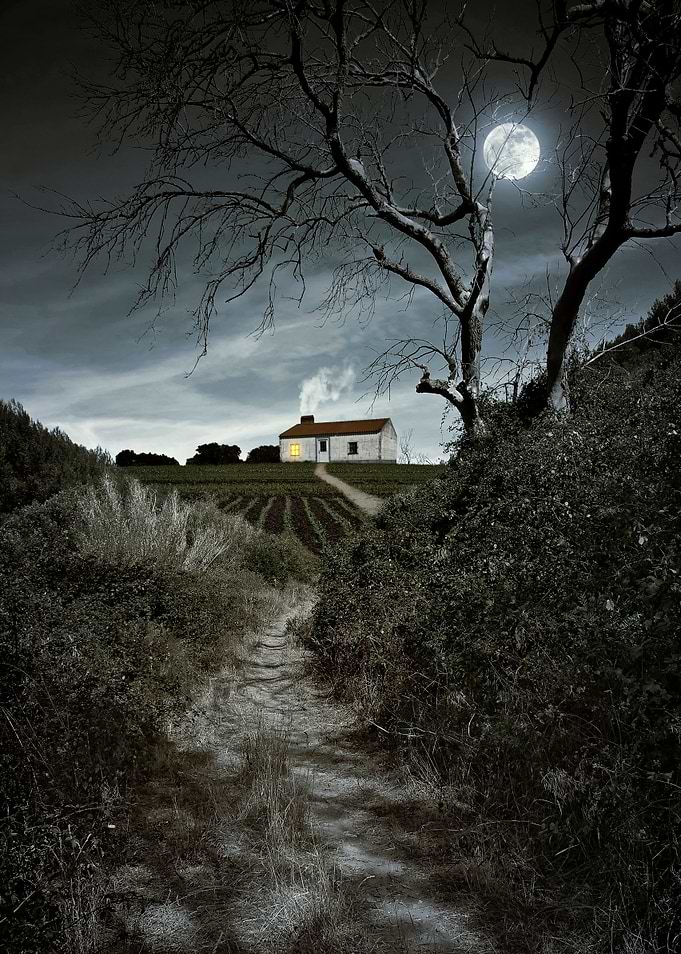 Moody night scene with tree and full moon over a foot t ...
