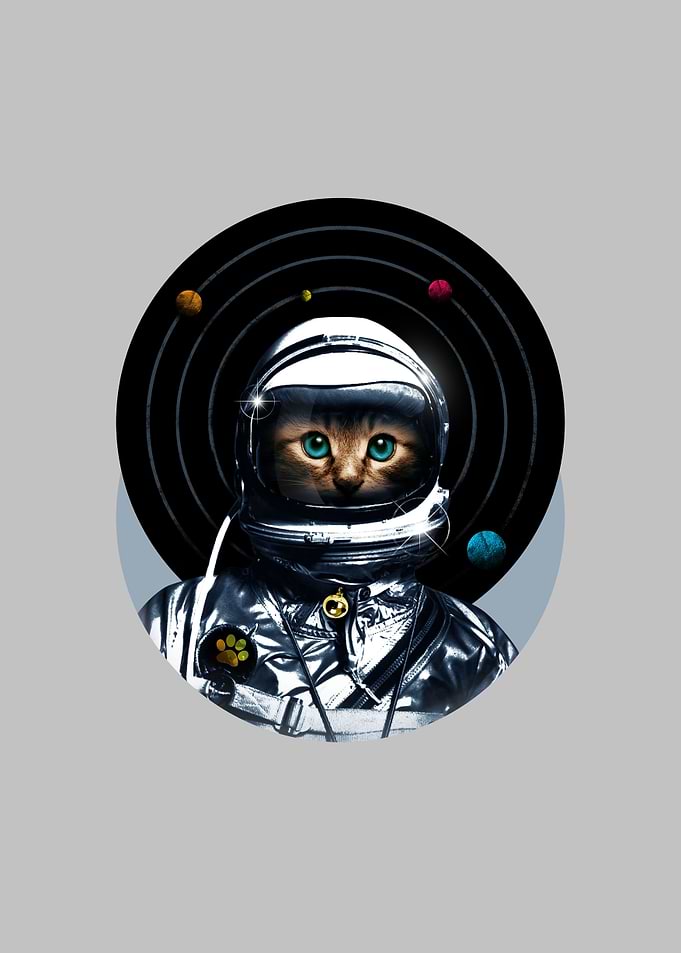 Space Kitten