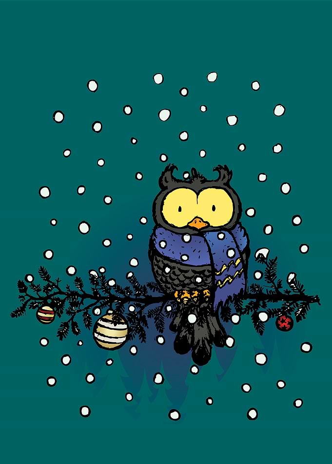Owl in the snow