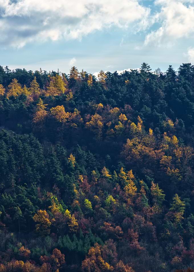 Autumn