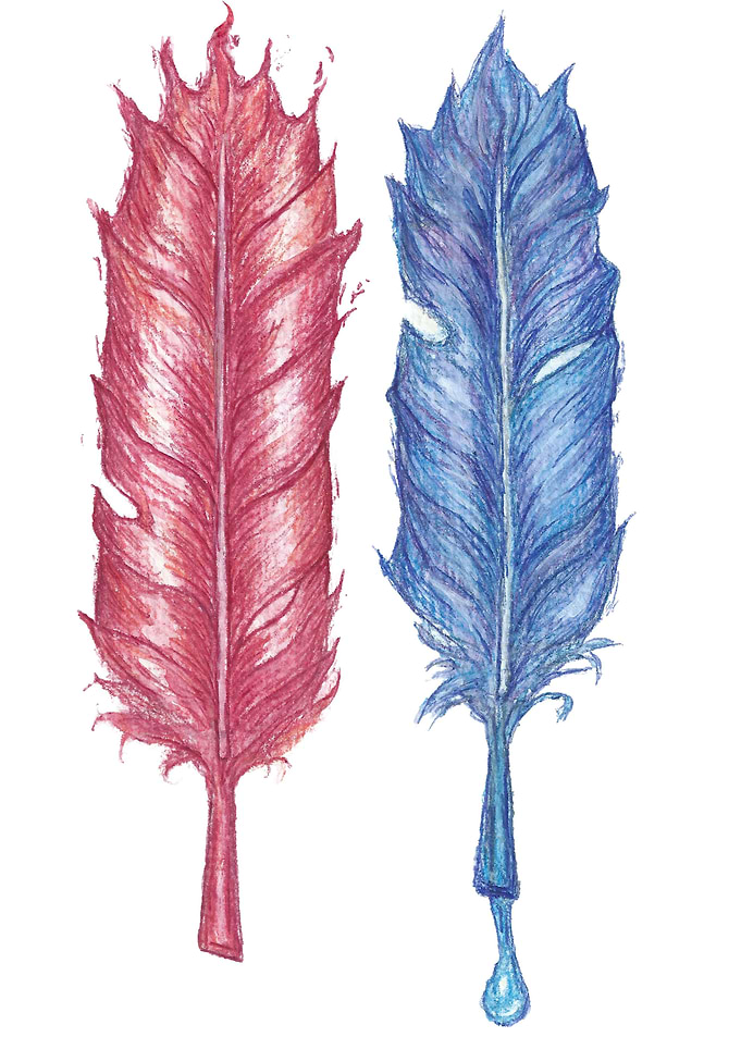 Fire and water feathers