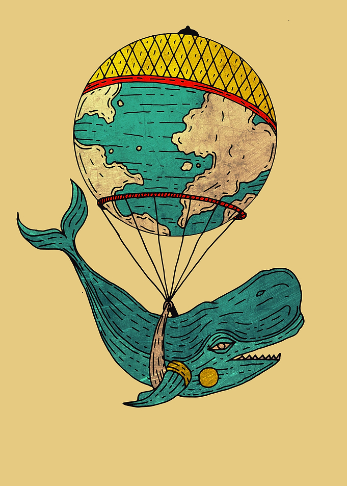 whale going arond the world