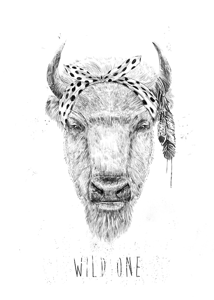 Wild one