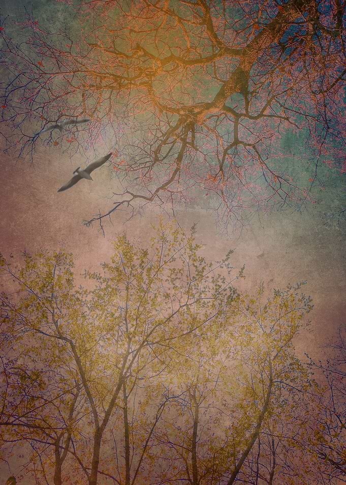 Landscape 01