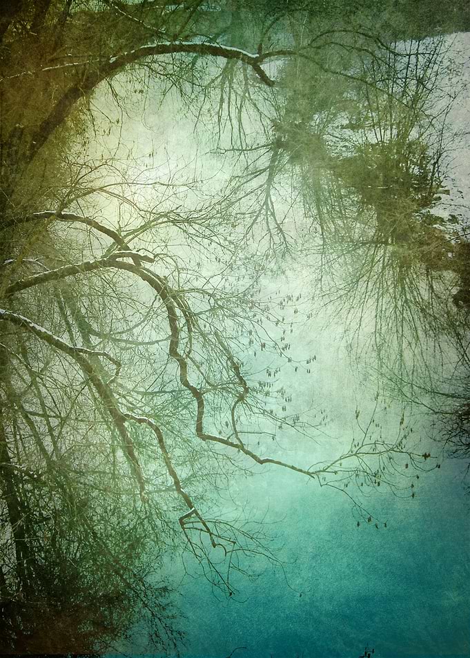 Landscape 8
