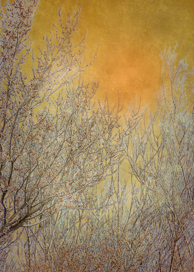 Landscape 3