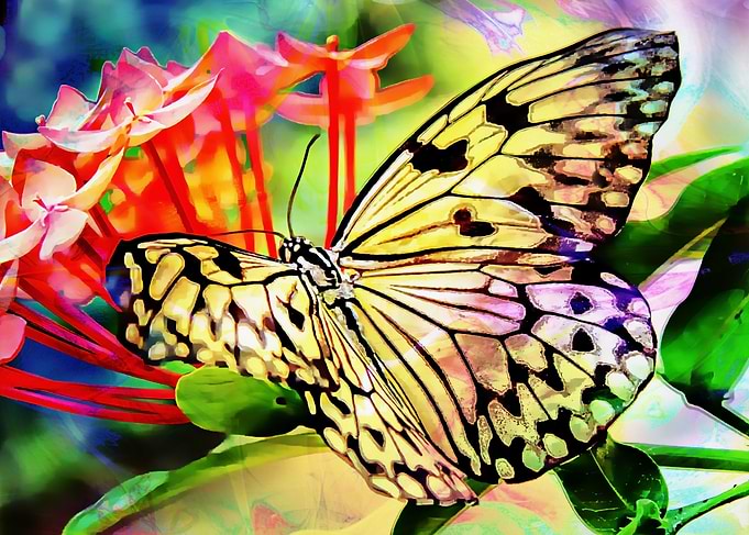 A Butterflies Luck is a mixed media art and photography ...