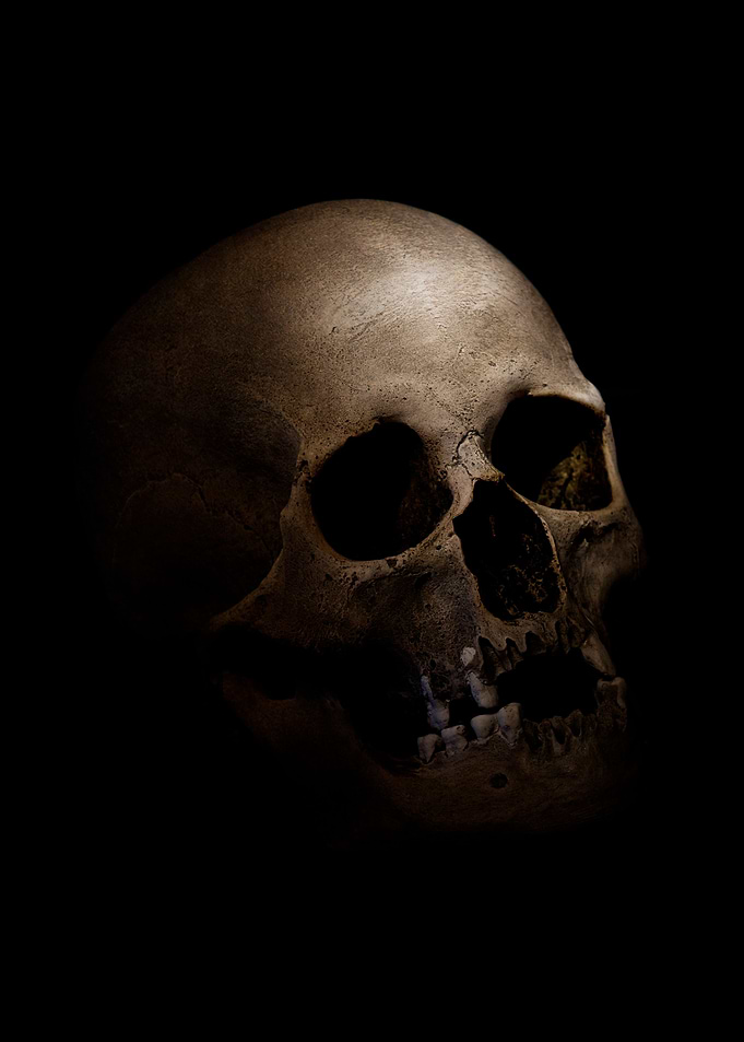 Male skull