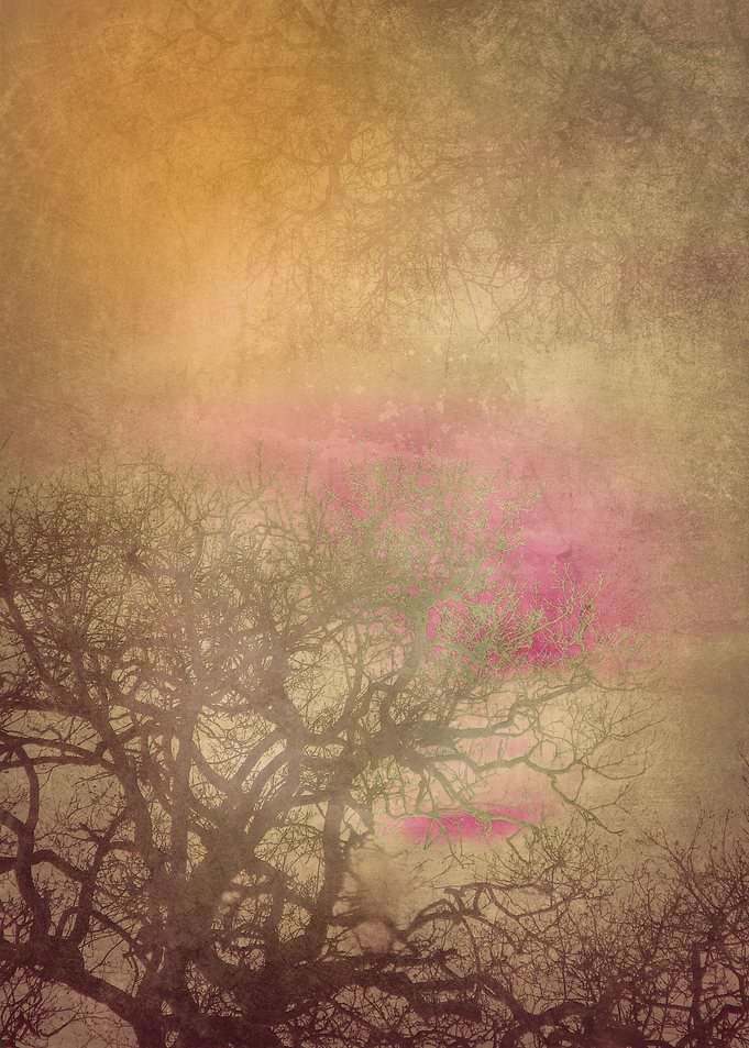 Landscape 4