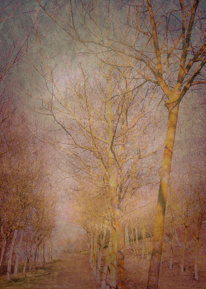 Landscape 2