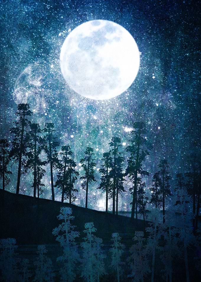 A Forest of Stars