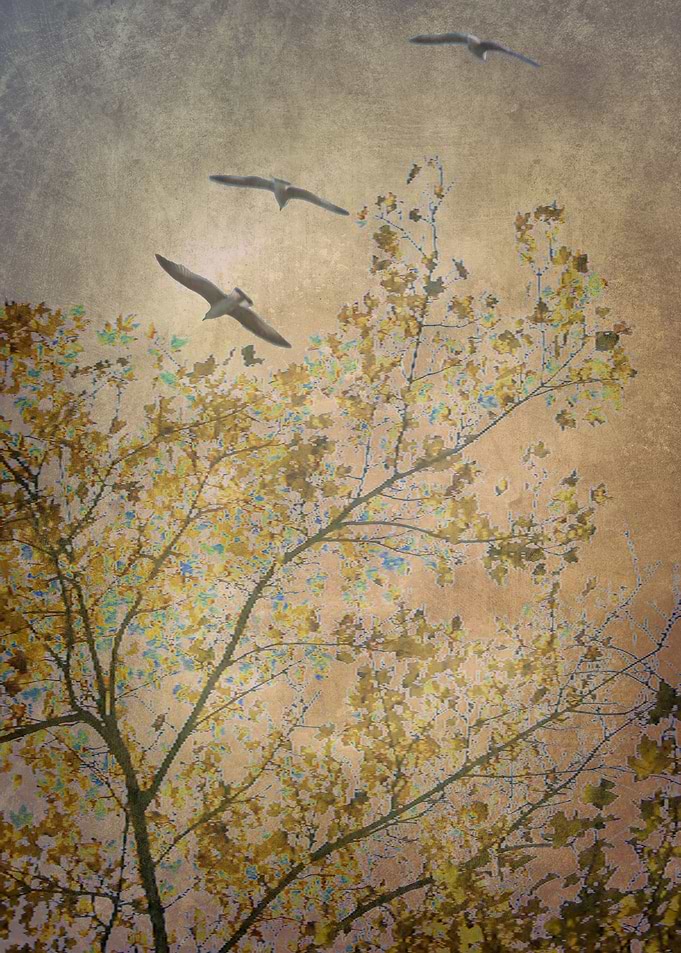 Landscape 7