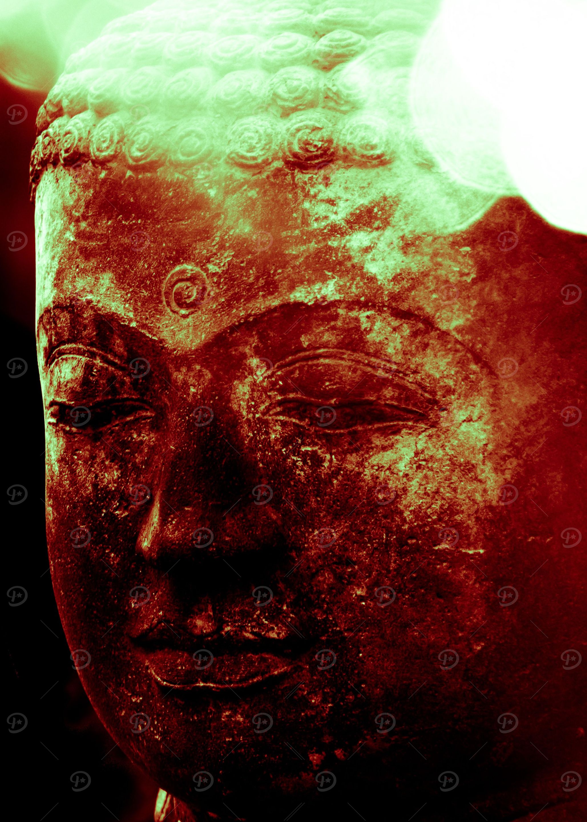 A Buddha Head statue in morning light.