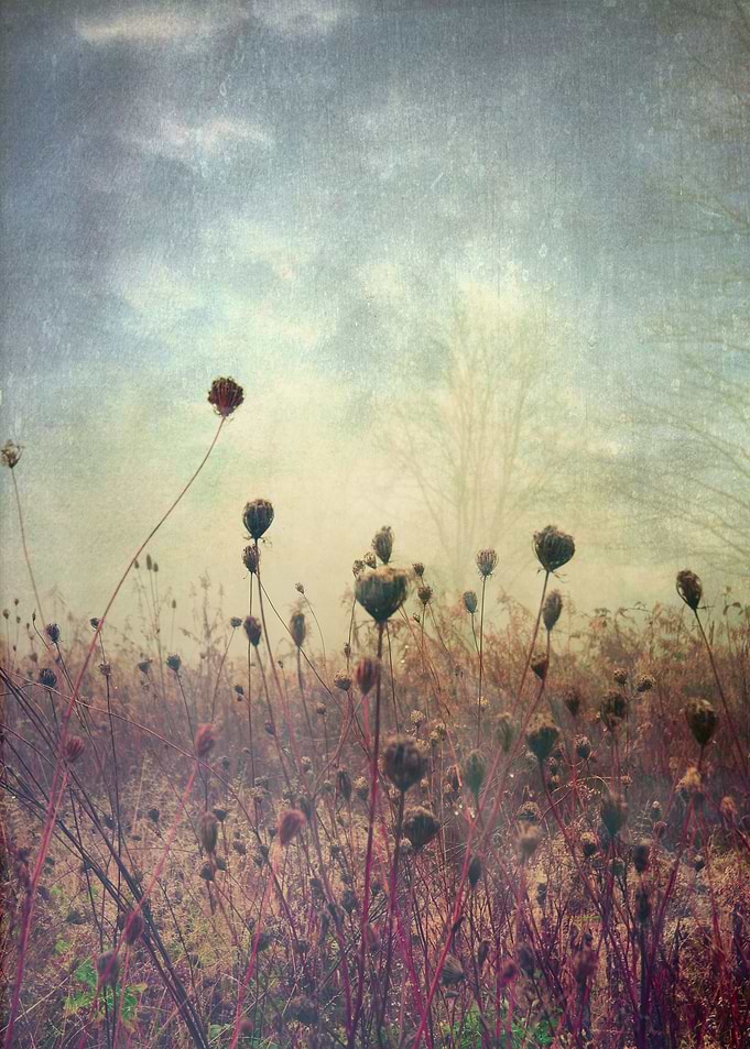 Her Mind Wandered in Beautiful Worlds