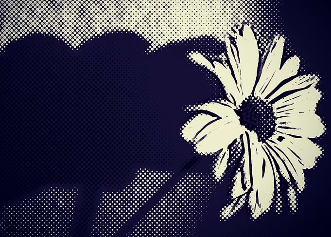 Wall Flower