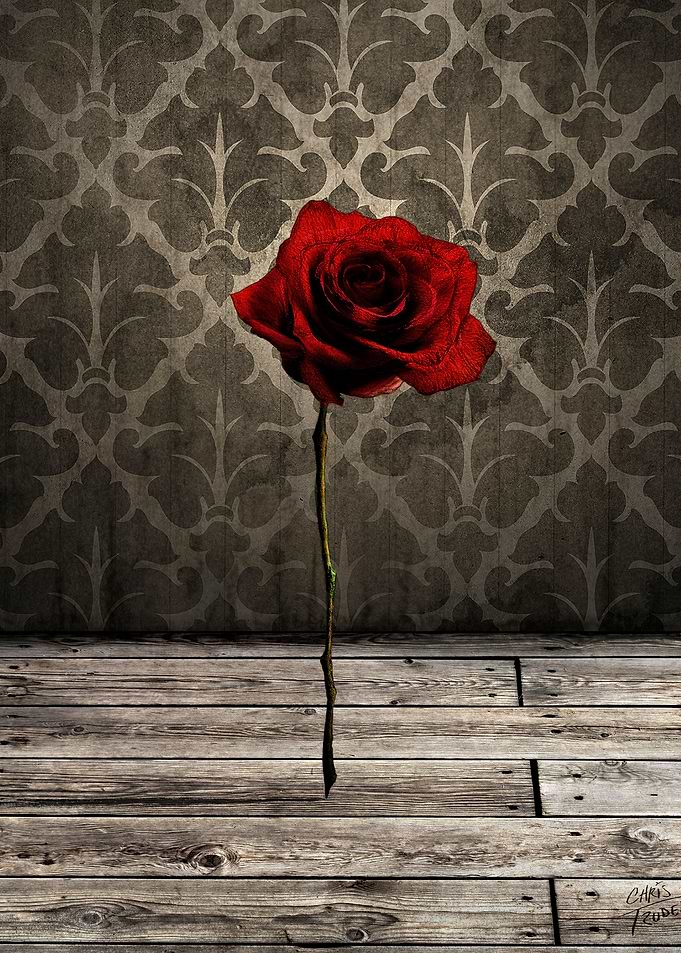 Vintage old school rose with mixed digital media.
