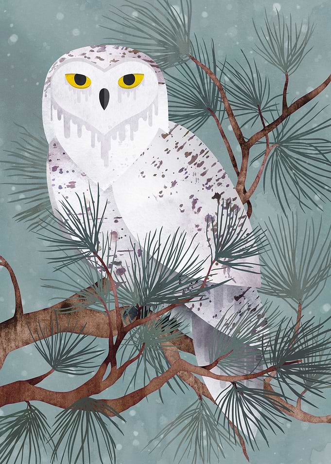 Snowy