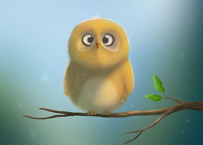 Little owl