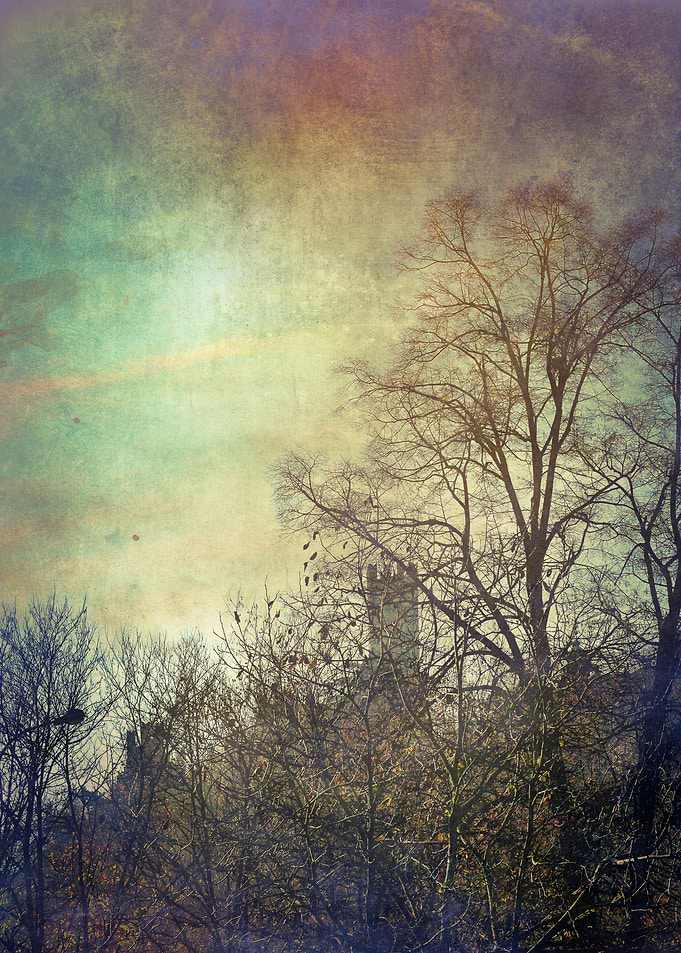 Landscape 12