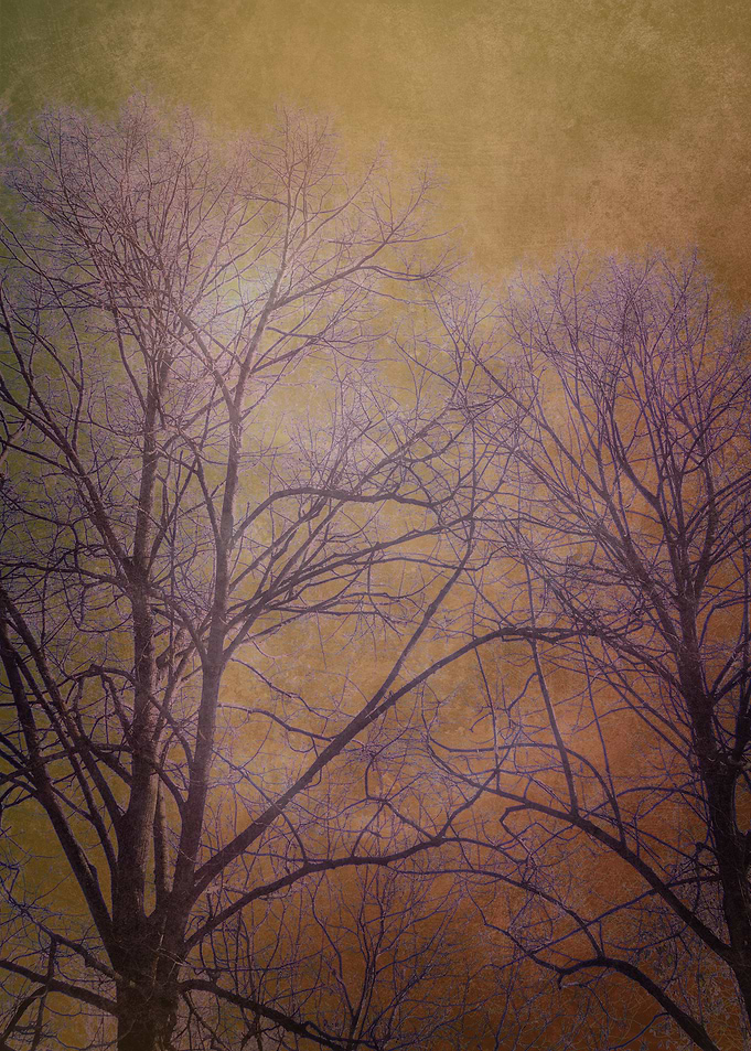 Landscape 13