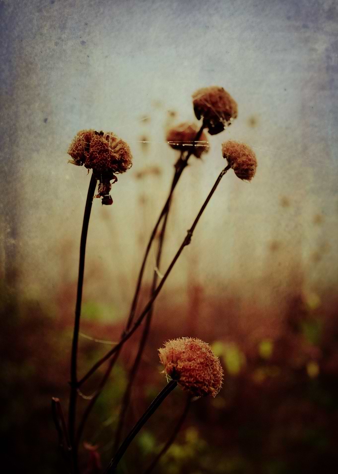 One Winter Day