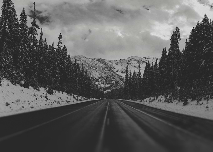 December Road Trip in the Pacific Northwest